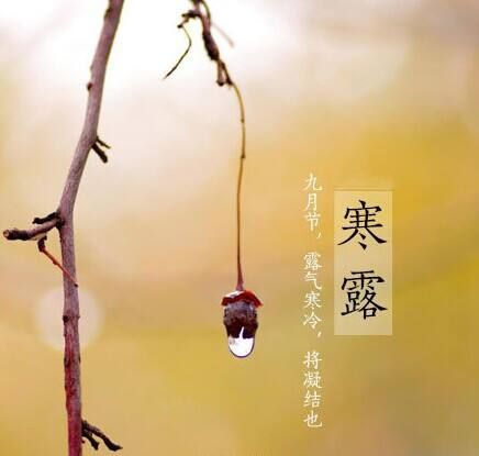 寒露至，秋意濃